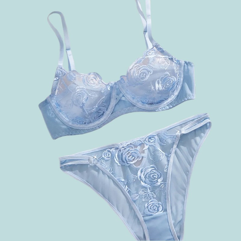 Sheer Mesh Bra - Ultra Sexy Lingerie Bra Women French